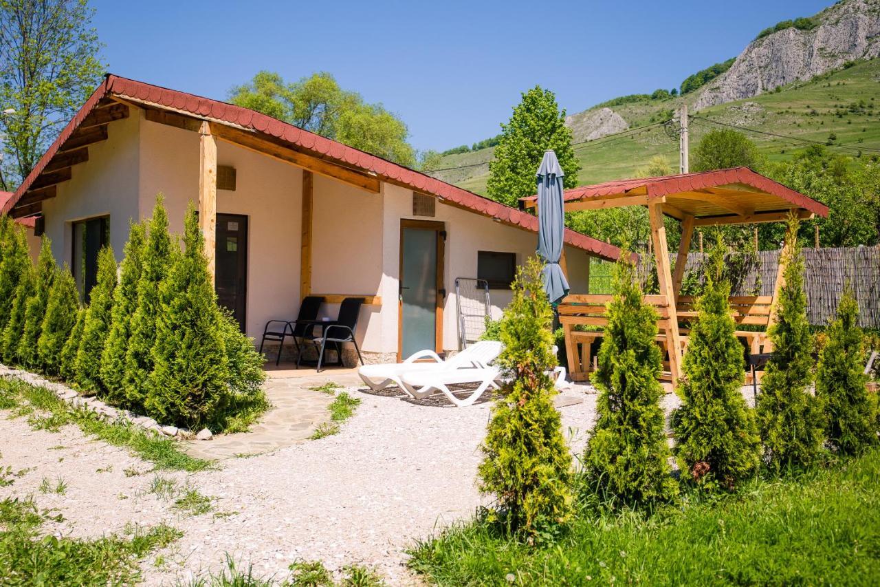 Studiouri Valisoara Exterior photo